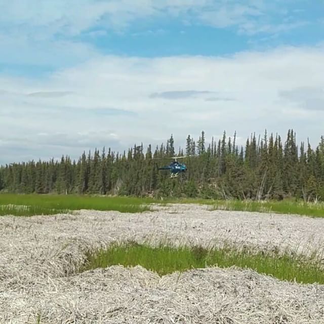 Our ride is here. . . #bell206 #jetranger #videoproduction #bts #helicopter #inthebush #conservation #wetlands #ducksunlimited #nevergetsold #bestjobever #nwt